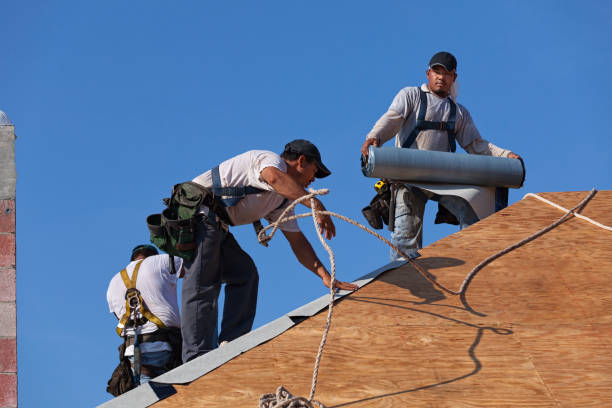 Best Roof Gutter Cleaning  in Kasson, MN